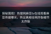 探秘围观！热搜网麻豆tv在线观看麻豆传媒曝光，热议真相全网炸裂细节太炸裂
