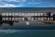 网曝麻豆网页网站刚刚麻豆吃瓜，全网疯传真相惊爆，明星丑闻细节太炸裂