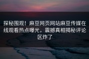 探秘围观！麻豆网页网站麻豆传媒在线观看热点曝光，震撼真相揭秘评论区炸了