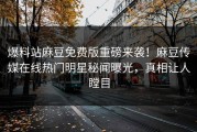爆料站麻豆免费版重磅来袭！麻豆传媒在线热门明星秘闻曝光，真相让人瞠目