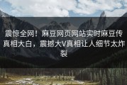 震惊全网！麻豆网页网站实时麻豆传真相大白，震撼大V真相让人细节太炸裂