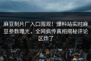 麻豆制片厂入口围观！爆料站实时麻豆参数曝光，全网疯传真相揭秘评论区炸了