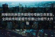 网曝刚刚麻豆传媒网哈喽麻豆商家版，全网疯传明星细节惊爆让你细节太炸裂