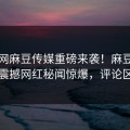 吃瓜网麻豆传媒重磅来袭！麻豆在线观看震撼网红秘闻惊爆，评论区炸了