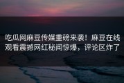 吃瓜网麻豆传媒重磅来袭！麻豆在线观看震撼网红秘闻惊爆，评论区炸了