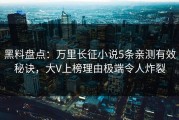 黑料盘点：万里长征小说5条亲测有效秘诀，大V上榜理由极端令人炸裂