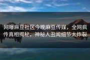 网曝麻豆社区今晚麻豆传媒，全网疯传真相揭秘，神秘人丑闻细节太炸裂