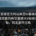麻豆官媒官方网站麻豆tv重磅来袭！能在线观看的麻豆震撼大V秘闻全网炸裂，网友直呼过瘾