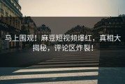 马上围观！麻豆短视频爆红，真相大揭秘，评论区炸裂！